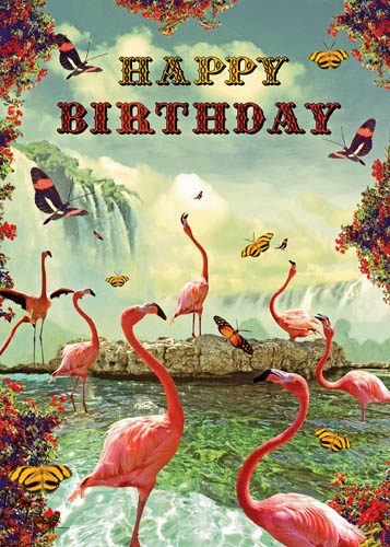 Happy Birthday Flamingo Pool Greeting Card by Max Hernn